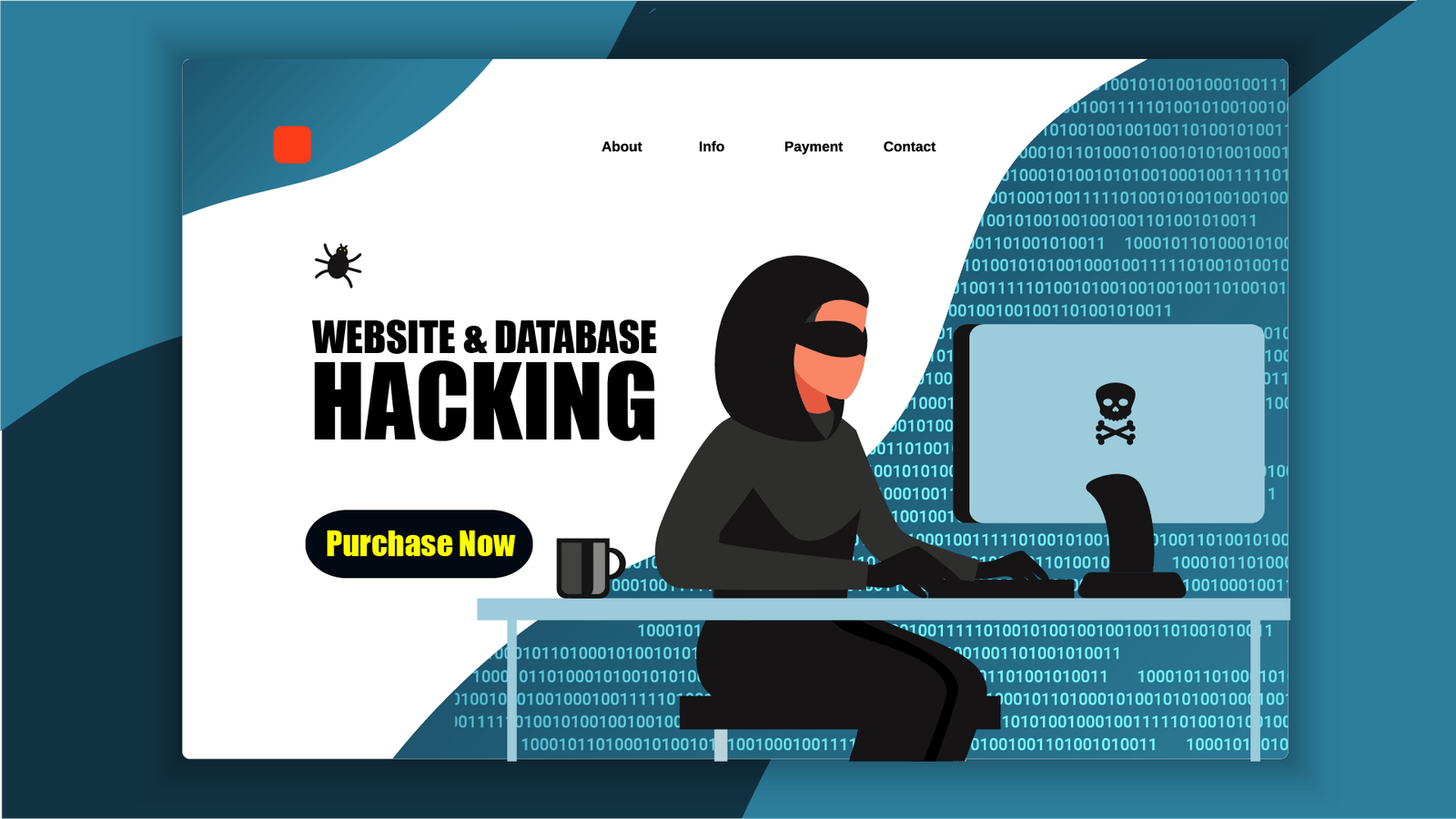 Websites & Database Hacking
